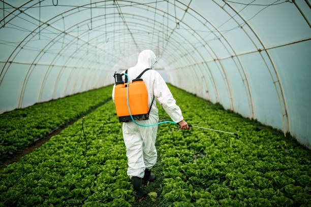 Best Residential Pest Control  in Danbury, TX