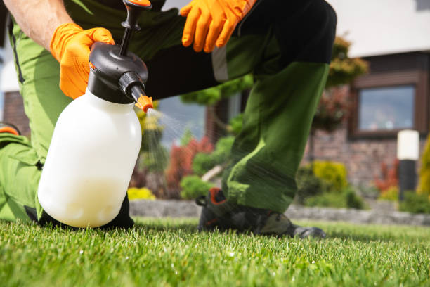 Best Exterminator Services  in Danbury, TX