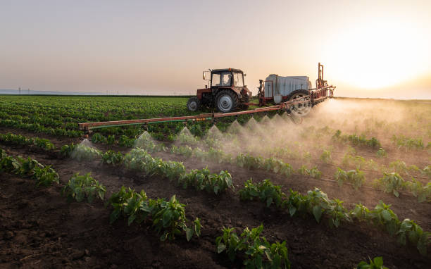 Reliable Danbury, TX Pest Control Solutions