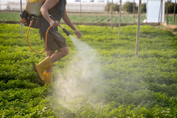 Best Best Pest Control Companies  in Danbury, TX