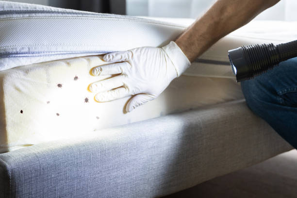 Best Pest Control for Restaurants  in Danbury, TX