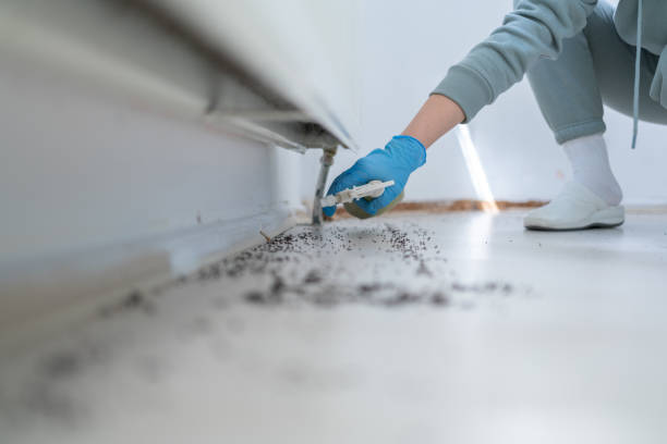 Pest Control Cost in Danbury, TX