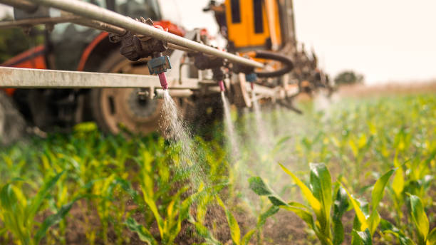 Reliable Danbury, TX Pest Control Solutions