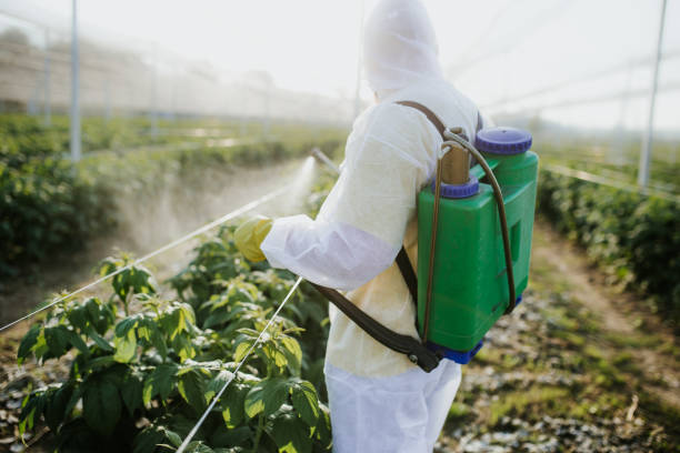 Best Pest Prevention Services  in Danbury, TX